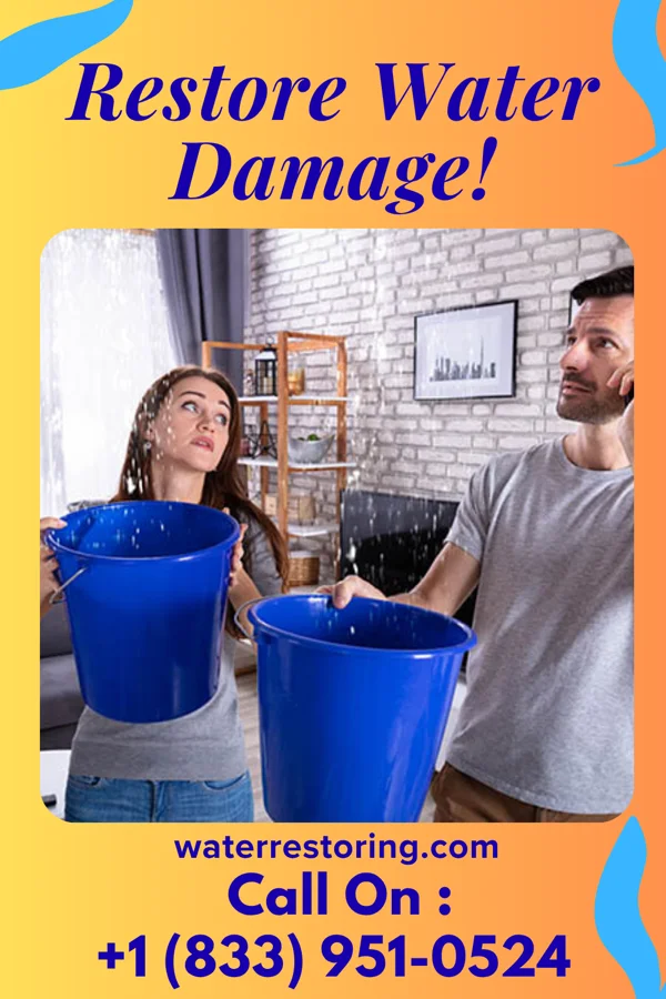water restoration Water Solutions Force Reidville