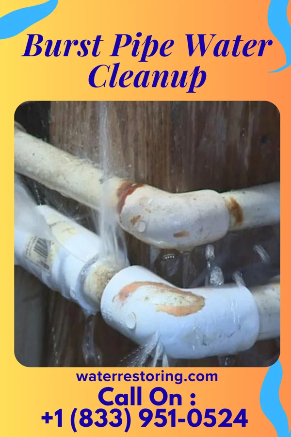 Burst Pipe Water Cleanup in Reidville, SC