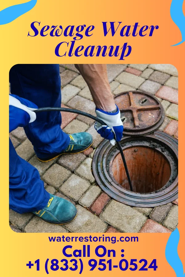 Sewage Water Cleanup in Reidville, SC